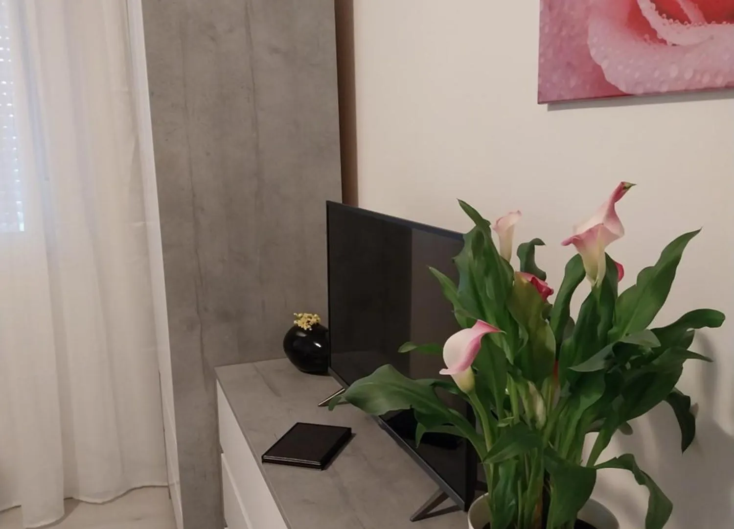 Studio M Pula Lägenhet